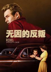 无因的反叛
