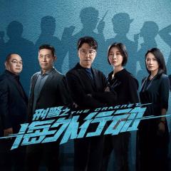 刑警之海外行动 - qLM53Da3n8HCUdvCdPGh5YBy5Ea.jpg