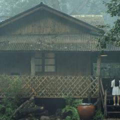 凝弑 - zSDU5q7SoFi0YiB9ziLj28EyB0K.jpg