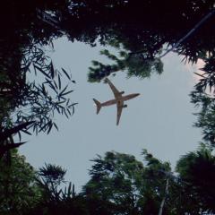 迷失 - 7BRMS8pX2PfckH6JbplJAzu65WS.jpg