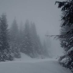隐墙 - 8IbgUaCJ4esTB22Ng3wQvva334q.jpg