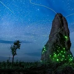 夜色中的地球 第二季 - p1643237553887485469.jpg