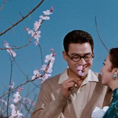 漂泊皇妃 - 9l33e2QUgN3ZDw7XyR3jxwPcJcT.jpg