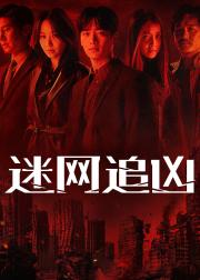 迷网追凶