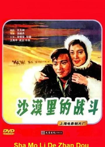 沙漠里的战斗
