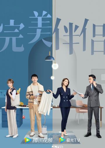 完美伴侣