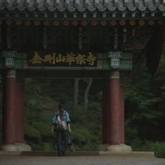 左轮手枪 - nSgpbMrShgD86bZDzpoMFhXzT3B.jpg