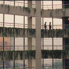 青梅竹马 - pFLqQ7mZ6FVqFEOaHffJtSLGuSn.jpg