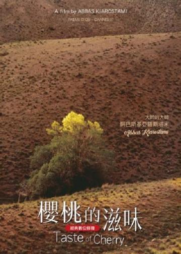 樱桃的滋味