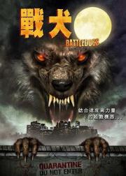 战争狂犬