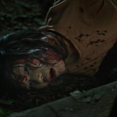 苌山虎 - n6NC7H66PUpFKL44HgeeVIYoys8.jpg