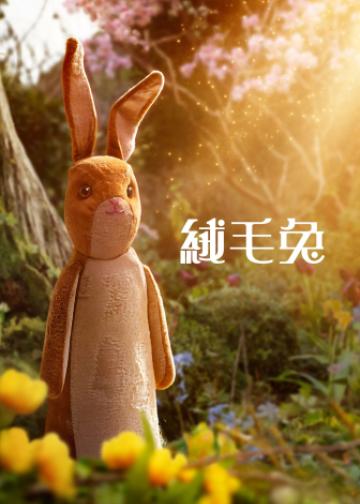 天鹅绒兔子