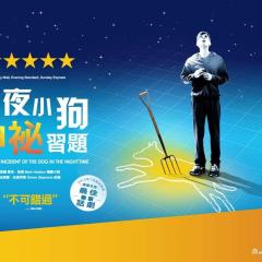 深夜小狗离奇事件 - pV2hBFAn8GbBG069fI1rBjkhigy.jpg