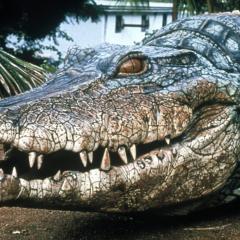 Crocodile 2: Death Roll - 43gp6lQn5a4egI0SsQJmz56gB12.jpg