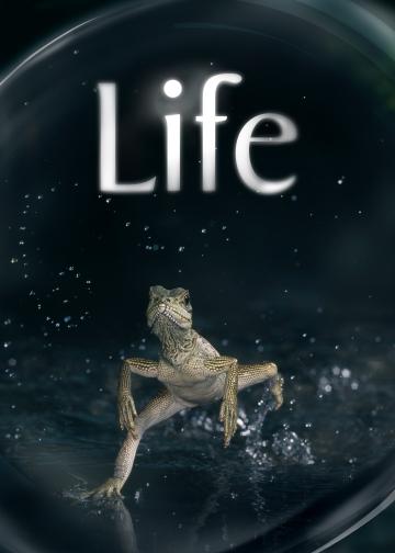 生命