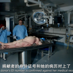 肥胖症：尸检 - 702ffb77831277dds.png