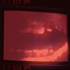 81号档案 - xfGgB6mduhcouBijrMglqJRZf7u.jpg
