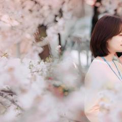 春夜 - zJsctMz7ftRmhmduqfiMjmMq229.jpg
