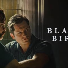 Black Bird - dCHxasRniP77sWt0uF1uMwXFSkY.jpg