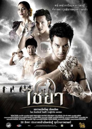 泰南拳