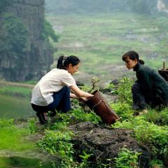 植物学家的中国女孩 - pnSFMiSAA4r760XJgyMsmQa02UN.jpg